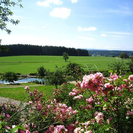 Gaestehaus Schloss Kronburg מראה חיצוני תמונה