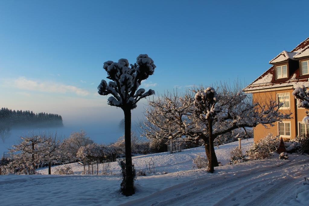 Gaestehaus Schloss Kronburg מראה חיצוני תמונה
